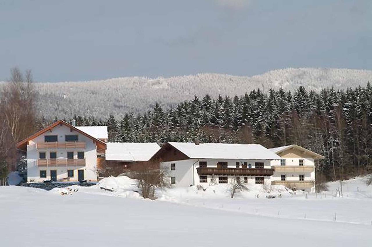 Exenbacher Hof Traumbauernhaus S'Haisl Arnbruck Extérieur photo